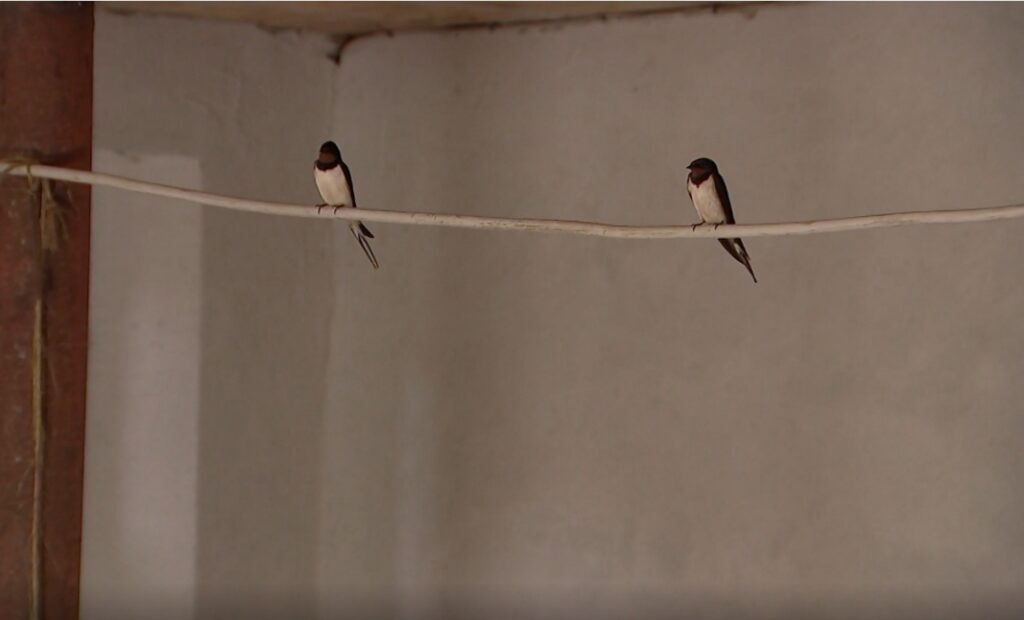 perinnerakentamiskeskus.fi hello world- artikkelit 2024